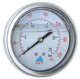 Liquid Pressure Gauge, 3', Back Type