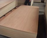 BB/CC Grade Bintangor Face Commercial Plywood