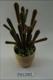 Plastic Artificial Cactus Plants Bonsai with Melamine Pot