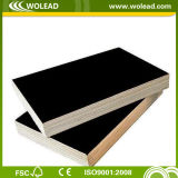 18mm Black Professional Supplier of Film Faced Plywood (w15113)