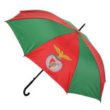 Auto Open National Flag Advertising Umbrella (JS-016)