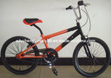 20red Adult Bicycle for Hot Sale (SH-FS056)
