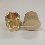 Brass Plug (BP)