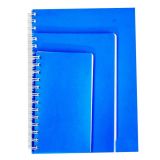 Cusomized Wire Binding Softcover Printed Notebook Diaries