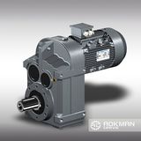 F Series Parallel Shaft Helical Gearbox From Aokman