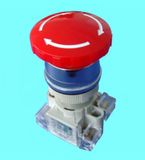 Pushbutton Switch (JXB22E-BS542-22)