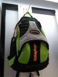 Travel Bag (Z-05)