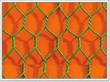 Hexagonal Mesh