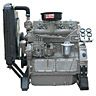 Power Generator Diesel Engine (K4100D)