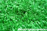 Lanscape Artificial Grass/Artificial Lawn (OG-12)