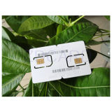Access Plastic Smart Card PVC Card Chip Card