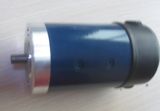 DC Servo Motor (55SZ)