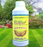 Auspicious Rain Amino Acid Foliar Fertilizer for Lawn