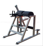 Fitness Equipment / Gym Equipment / Hammer Equipment /Reverse Hyper Extension (SH62)