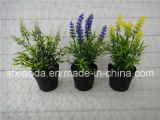 Artificial Plastic Potted Flower (XD14-70)