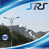 Solar Street Light Pole100W LED Street Light60W LED Street Light