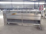 Fruit Washing, Peeler and Processing Machine