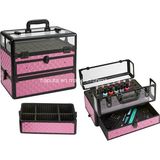 Aluminum PRO Nail Polish Carrying Case (HB-2301)