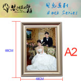 H14 A2 Snap Aluminum Picture Frame Photo Frame