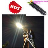 2015 Energy Saving All in One Solar Street Light 25W