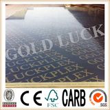 Qingdao Gold Luck as 6669 F17 Standard Formply Plywood