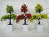 Artificial Plastic Potted Flower (XD14-220)