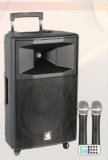2X12'' 2-Way Portable Battery Speaker PS-4212bt-Iwb
