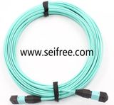 3mm MPO Optical Jumper Wire with Single Mode (Simplex)