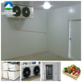 Mini Cold Storage of Vegetables and Fruit