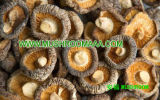 Mushroom, Dried Mushroom, Wild Mushroom, Organic Mushrooms