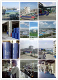 Polyether Polyol for Foam Manufacturer (ZL-PPG)