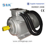 High Quality 3 Phase Electric Motors Price