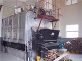 Energy Saving Biomass Fired Steam Boiler