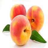 Fresh Peach on Best Price