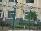 Frame Type Fence Netting