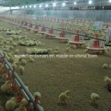 Automatic Poultry Farm Equipment with SGS Certificate