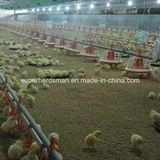 Automatic Poultry Farm Equipment with SGS Certificate