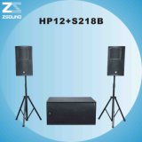 HP12+S218b PRO Audio
