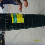 PVC Coated Welded Wire Mesh