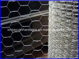 High Quality Chicken Wire, Hexagonal Wire Netting