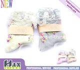 OEM Socks Exporter Cotton Silk Lady Women Leisure Stocking Socks (hx-062)