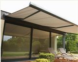 Manual Folding Awning