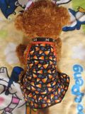 2014 Hot Sells Dog Clothes for Pet Products (1300831)