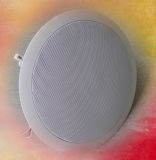 Professional PA System ABS Housing Ceiling Speaker (HC-1500)