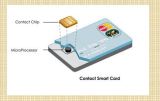 Contact Smart Card, UHF RFID Card, PVC ID Card (Fast Delivery)