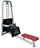 Fitness Equipment / Gym Equipment / Low Row (SM08)