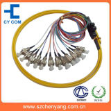 FC/SC/ST 12 Core Ribbon Packing Fiber Optic Pigtail