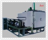 Gzls Vacuum Freeze Drying Machine for Drying Apple Piece