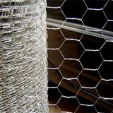 Galvanized Hexagonal Wire Mesh