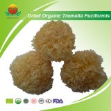 Manufacturer Supplier Dried Organic Tremella Fuciformis
